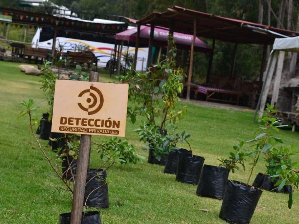 Logo Deteccion LTDA